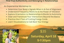 Energetic Hygiene: Reclaiming your Energetic Sover