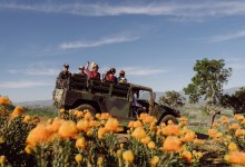 Meet the Farmer & Protea Bouquet Making Class