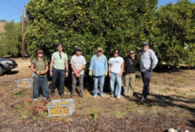 Community Collaboration Brings Fresh Citrus to Local Families in Need