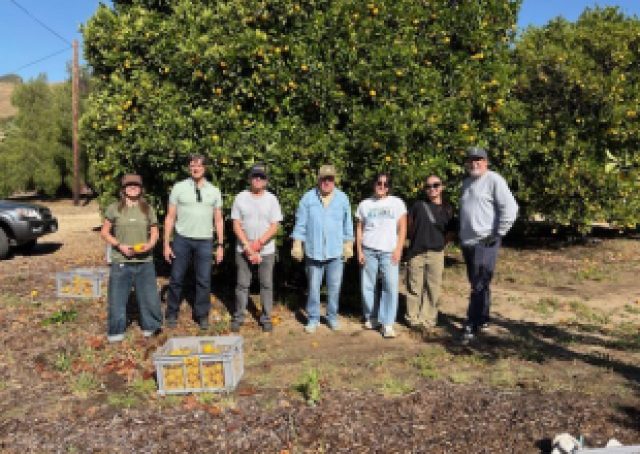 Community Collaboration Brings Fresh Citrus to Local Families in Need