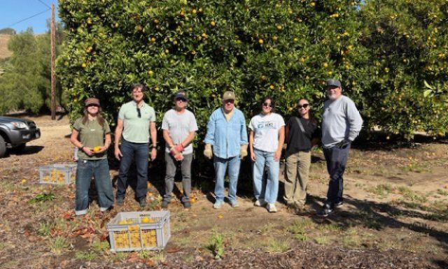 Community Collaboration Brings Fresh Citrus to Local Families in Need
