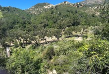Switcheroo at San Ysidro Ranch in Montecito