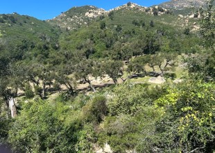 Switcheroo at San Ysidro Ranch in Montecito