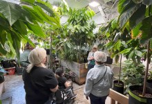 Twenty-Four Blackbirds Chocolate Tour & Tasting