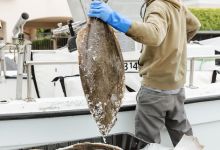 California’s Central Coast Seafood Dinner