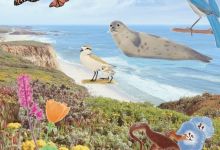 Storytime at Elings Park