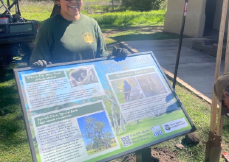 SBAS Installs Educational Signage for Purple Martins, a Species of Special Concern, at Nojoqui Falls Park