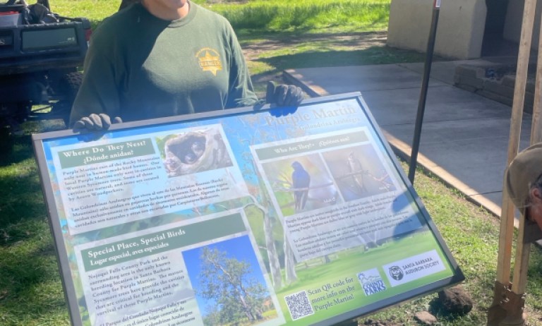 SBAS Installs Educational Signage for Purple Martins, a Species of Special Concern, at Nojoqui Falls Park