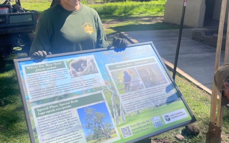 SBAS Installs Educational Signage for Purple Martins, a Species of Special Concern, at Nojoqui Falls Park