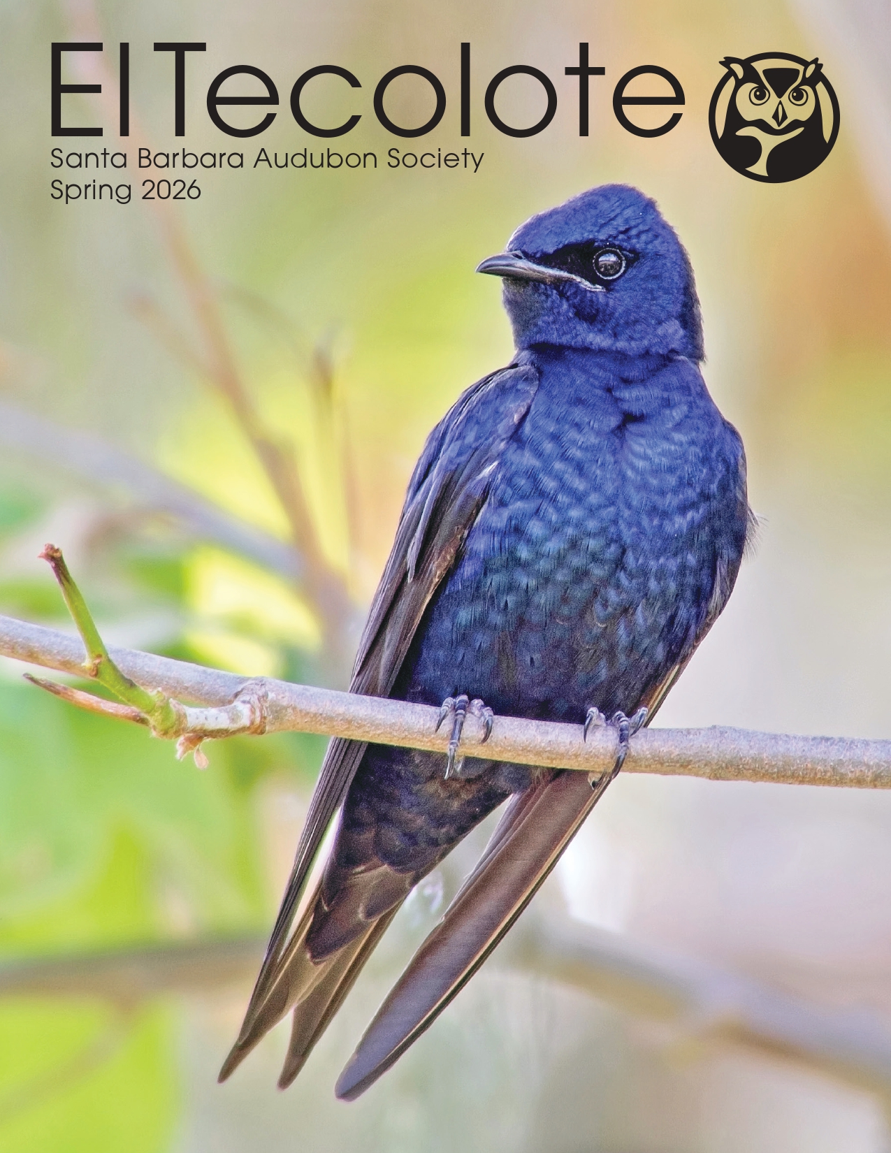 SBAS Installs Educational Signage for Purple Martins, a Species of