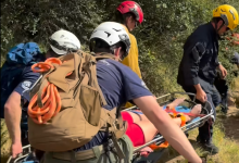 Second Montecito Snakebite Rescue Amid Regional Rise in Encounters