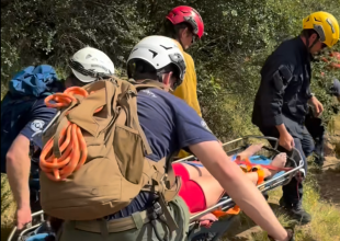 Second Montecito Snakebite Rescue Amid Regional Rise in Encounters