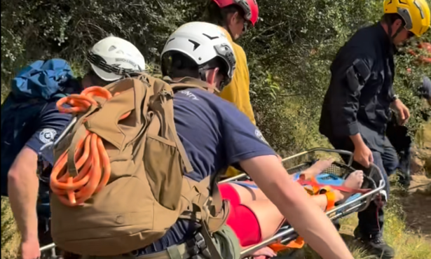 Second Montecito Snakebite Rescue Amid Regional Rise in Encounters