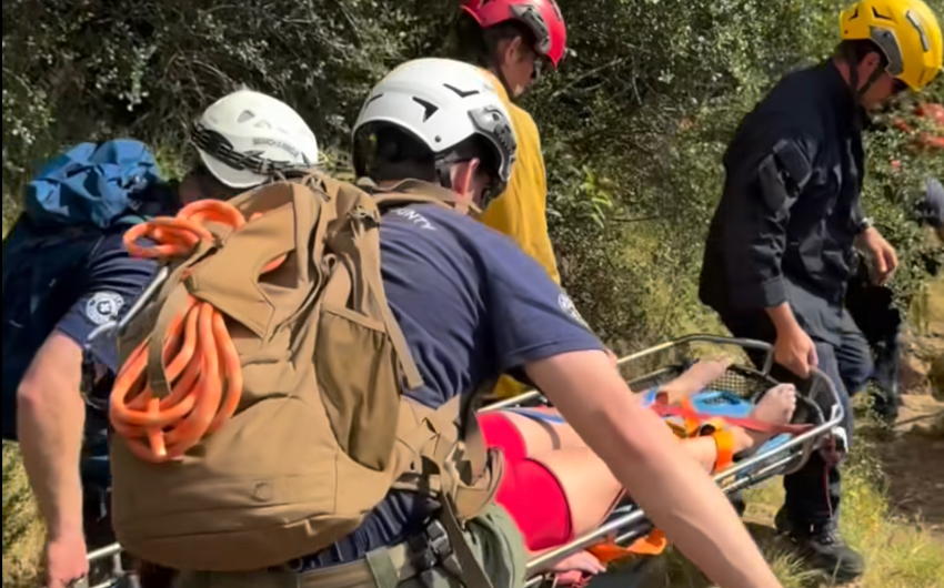 Second Montecito Snakebite Rescue Amid Regional Rise in Encounters