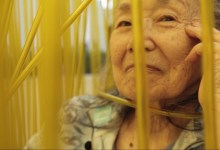 Connectivity: An Evening with Rea Tajiri