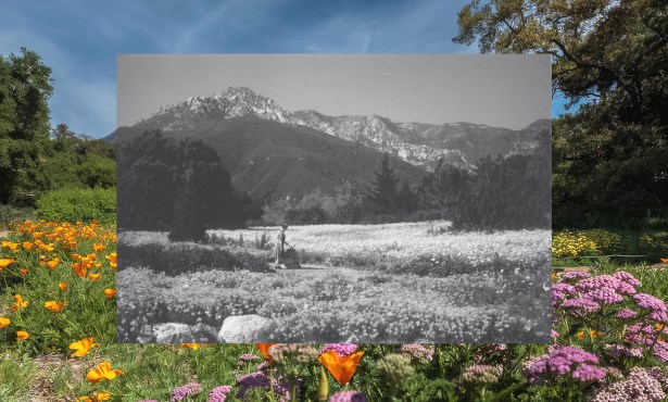 Santa Barbara Botanic Garden at 100