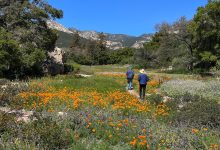 First Thursday with CEC and Santa Barbara Botanic