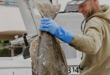 California’s Central Coast Seafood Dinner