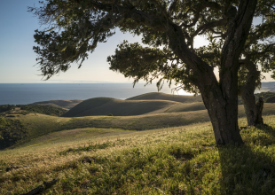 Point Conception Institute: The ‘Living Laboratory’