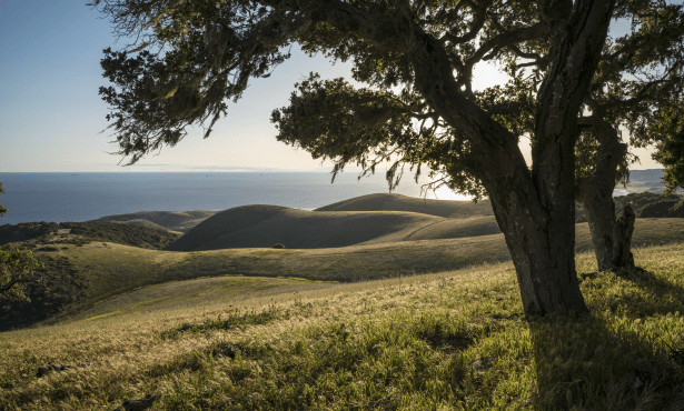 Point Conception Institute: The ‘Living Laboratory’