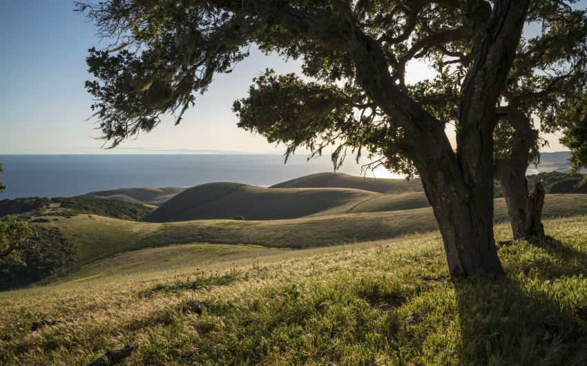 Point Conception Institute: The ‘Living Laboratory’