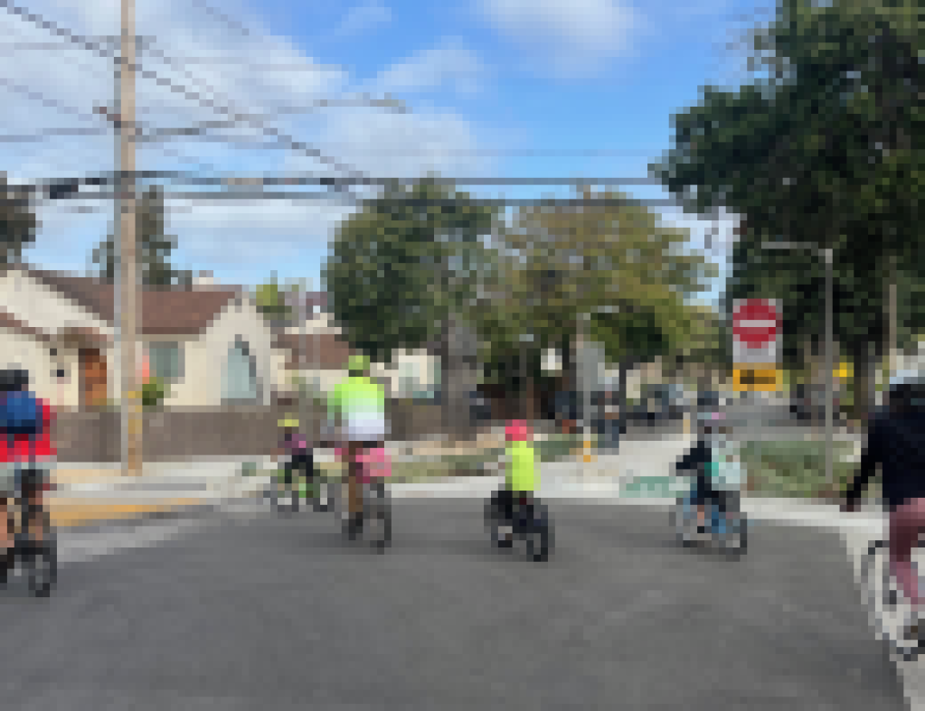 Use Your Voice for Safer Streets! 