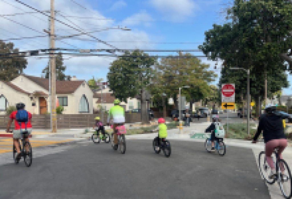 Use Your Voice for Safer Streets! 