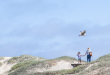 Carpinteria Seeks Community Collaboration on Living Shoreline Project