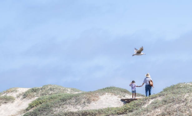 Carpinteria Seeks Community Collaboration on Living Shoreline Project