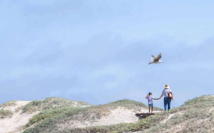 Carpinteria Seeks Community Collaboration on Living Shoreline Project