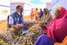 ShelterBox U.S.A. Presents ‘Stand by Mother’ Ahead of Earth Day