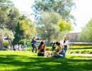 UC Santa Barbara Downsizes Language Programs