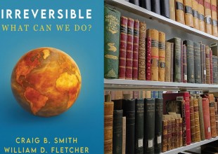 All Booked | The Magic Behind the Museum