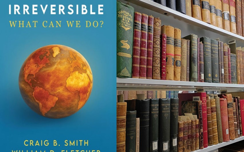 All Booked | The Magic Behind the Museum