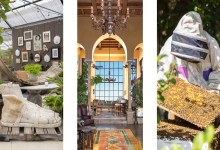 A Very Early Spring Home & Garden