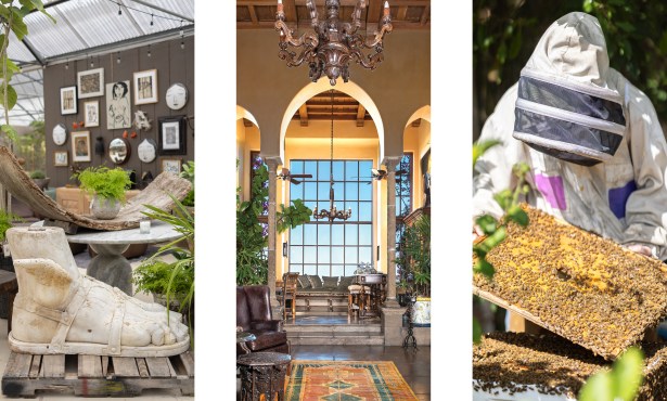 A Very Early Spring Home & Garden