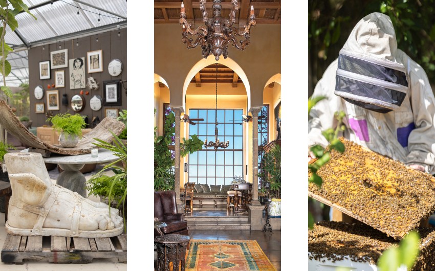 A Very Early Spring Home & Garden