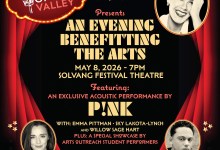 A Rare Benefit Evening with P!NK & Special Guests