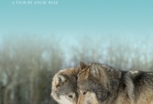 Wonders Of The Wolf Screening May 7