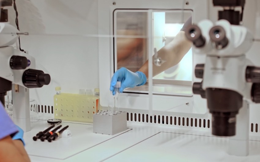 IVF Lawsuit Sends Patients to Santa Barbara Clinics