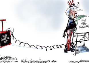 The Fight for Voting Rights