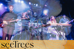AliWay with seeTrees & Shoe Biters