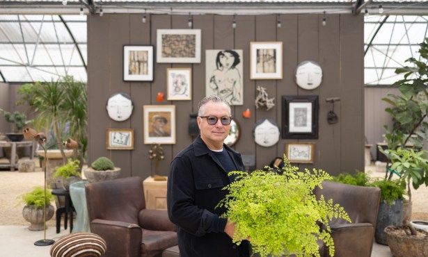 A Garden of Antiques and Wonder