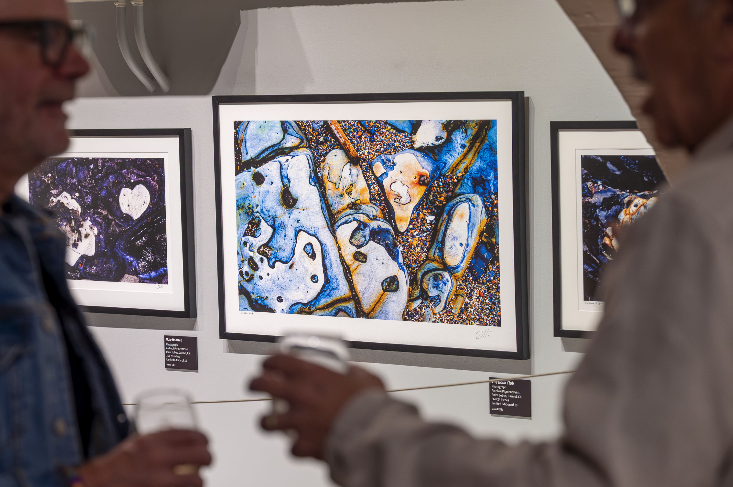 A Taste of the Life Aquatic with Vigon and Ellis 