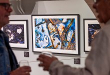 A Taste of the Life Aquatic with Vigon and Ellis 