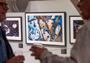 A Taste of the Life Aquatic with Vigon and Ellis 