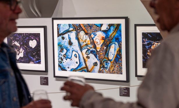 A Taste of the Life Aquatic with Vigon and Ellis 