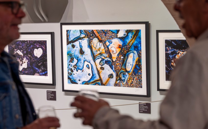 A Taste of the Life Aquatic with Vigon and Ellis 