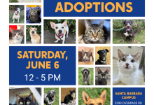 Santa Barbara Humane’s California Adopt-A-Pet Day