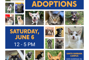 Santa Barbara Humane’s California Adopt-A-Pet Day